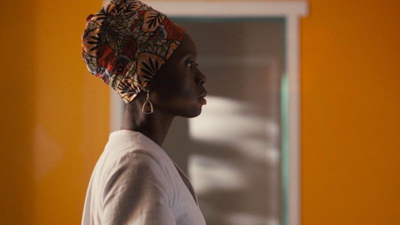 和平树 Netflix剧照