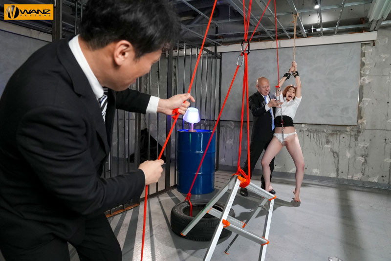 森沢かな(森泽佳奈，Morisawa-Kana)作品WAAA-280介绍及封面预览-图片4