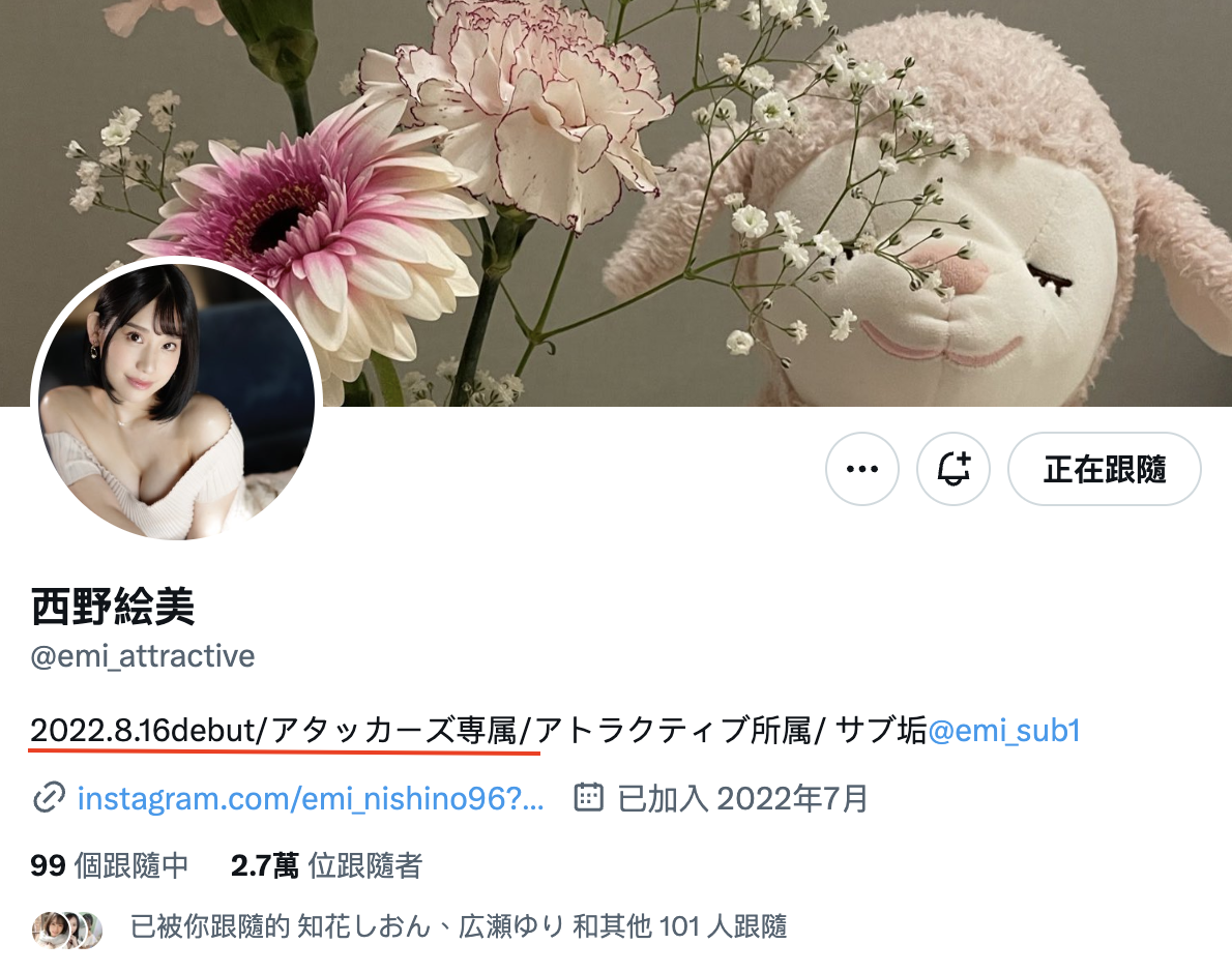 西野絵美(西野绘美,Nishino-Emi)作品ADN-495介绍及封面预览-图片7