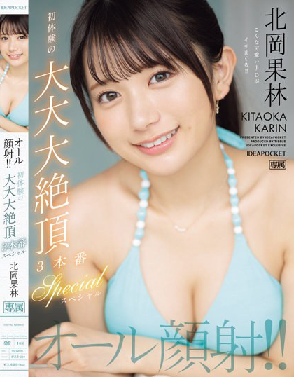 北岡果林(北冈果林，Kitaoka-Karin)作品IPZZ-291介绍及封面预览-吾尤客