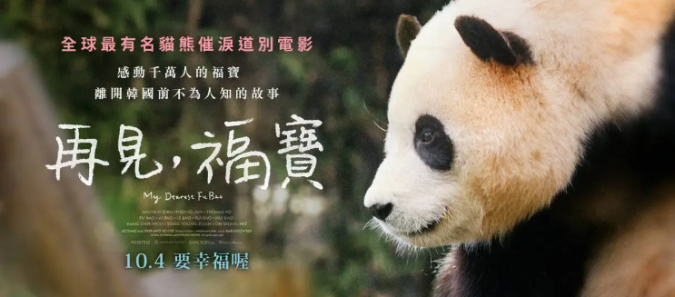 2024韩国纪录片电影《再见,福宝》好看吗?-吾尤客