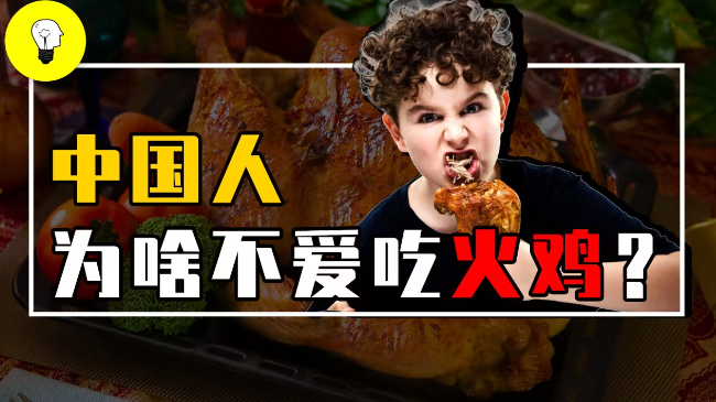 为什么火鸡在中国不受欢迎呢？-吾尤客