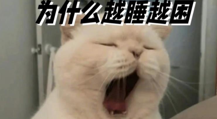 为什么睡觉，越睡越困？越睡越累？-吾尤客