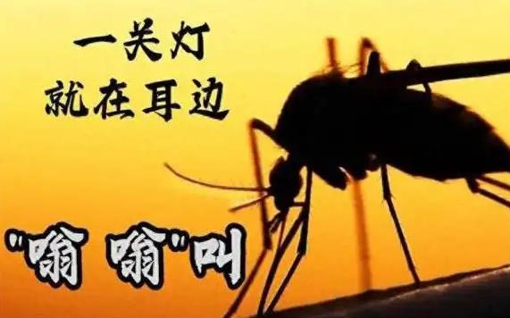 为什么开灯听不见蚊子叫，一关灯耳边都是嗡嗡声?-吾尤客