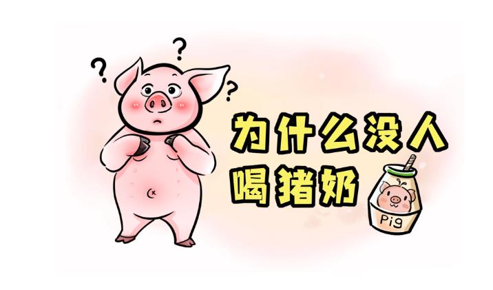 猪奶为什么没人喝？-吾尤客