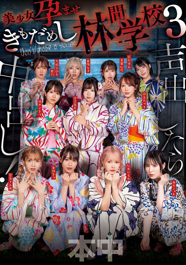 「超级鬼屋惊魂」共演作品HNDS-182介绍及封面预览-吾尤客