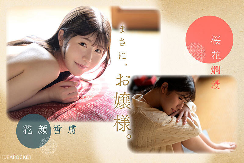 图片[7]-坂井美桜(坂井美樱)最新作品IPZZ-731介绍及封面预览-吾尤客